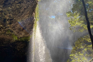 Byron Bay: Waterfalls and Hidden Gems Day Tour