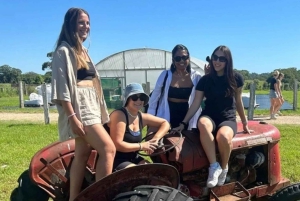 Brisbane: Byron Bay Day Tour - Lighthouse Sunset & The Farm
