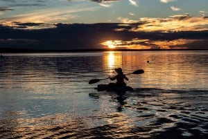 Brunswick Heads: Kajaktour auf dem Brunswick River bei Sonnenuntergang