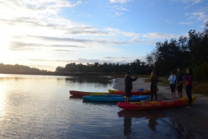 Brunswick Heads: Brunswick River Sunset Kayak Tour