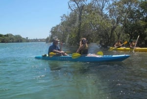 Brunswick Heads: tour in kayak al tramonto sul fiume Brunswick