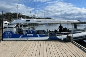 Brunswick Heads: Snorkeling Byron Bay Tour at Julian Rocks