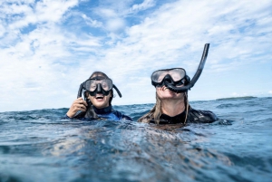 Brunswick Heads: Snorkeling Tour to Julian Rocks & Byron Bay