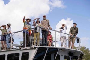 Río Brunswick: Crucero ecológico por la selva tropical al atardecer en Byron