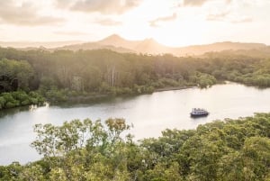 Brunswick River: Byron Sunset Eco Rainforest River Cruise: Byron Sunset Eco Rainforest River Cruise
