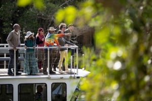 Braunschweig Rivier: Byron Zonsondergang Eco boottocht door het regenwoud