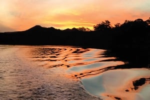 Brunswick-floden: Byron Sunset Eco Rainforest River Cruise