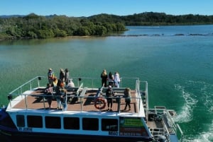 Rzeka Brunswick: Byron Sunset Eco Rainforest River Cruise