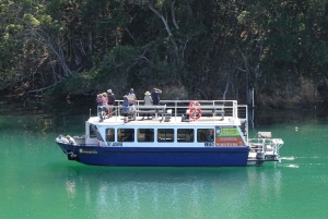 Brunswick River: Morning Eco Rainforest River Cruise