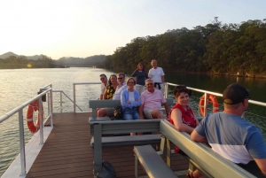 Brunswick River: Sunset Eco Rainforest River Cruise