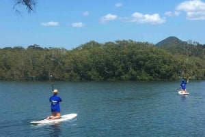Private Byron Bay: 2-Hour Stand Up Paddle Board Nature Tour