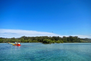 Byron Bay: Brunswick River Scenic Kayak Tour