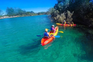 Byron Bay: Brunswick River Scenic Kayak Tour