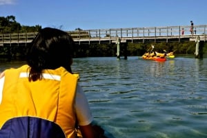 Byron Bay: Brunswick River Scenic Kayak Tour
