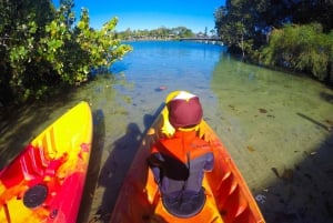 Byron Bay: Brunswick River Scenic Kayak Tour