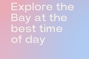 Byron Bay: Cape Byron Lighthouse Guided Sunrise Tour