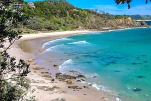 Byron Bay Day Tour With Chinese Speaking Guide