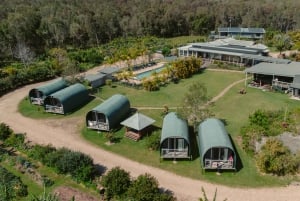 Byron Bay: Heldags yogaferie med måltider og badstue