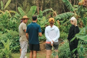 Byron Bay: Heldags yogaferie med måltider og badstue