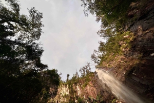 Байрон Бэй: Светящиеся черви, водопады и тропические леса