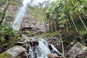 Байрон Бэй: Светящиеся черви, водопады и тропические леса
