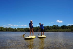 Byron Bay: 2,5-stündige Stand-Up Paddle Board Tour für Gruppen