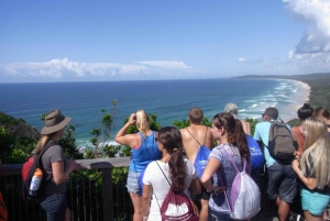 Byron Bay Half-Day Tour