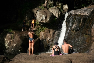 Byron Bay: Hinterland Magic and Glow-Worm Experience
