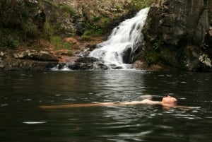 Byron Bay: Hinterland Magic and Glow-Worm Experience