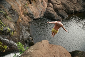 Byron Bay: Hinterland Magic and Glow-Worm Experience