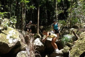 Byron Bay Bakland: Nationalpark och vattenfall
