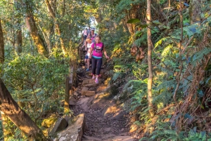 Byron Bay Hinterland: National Park and Waterfalls Tour