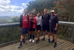 Byron Bay Hinterland: National Park and Waterfalls Tour