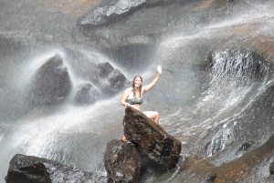 Byron Bay Hinterland: National Park and Waterfalls Tour