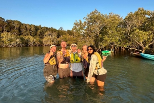Byron Bay: Kayak and Hike Eco-Tour with Waterfall Swim