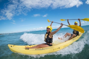Byron Bay: Kayak with Dolphins Tour