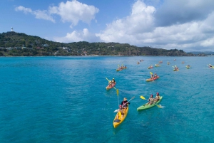 Byron Bay: Kayak with Dolphins Tour