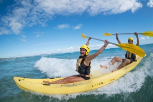 Byron Bay: Kayak with Dolphins Tour