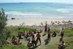Byron Bay: Kayak with Dolphins Tour