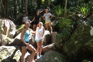 Byron Bay: Minyon Falls and Ocean Kayak Tour with BBQ Lunch