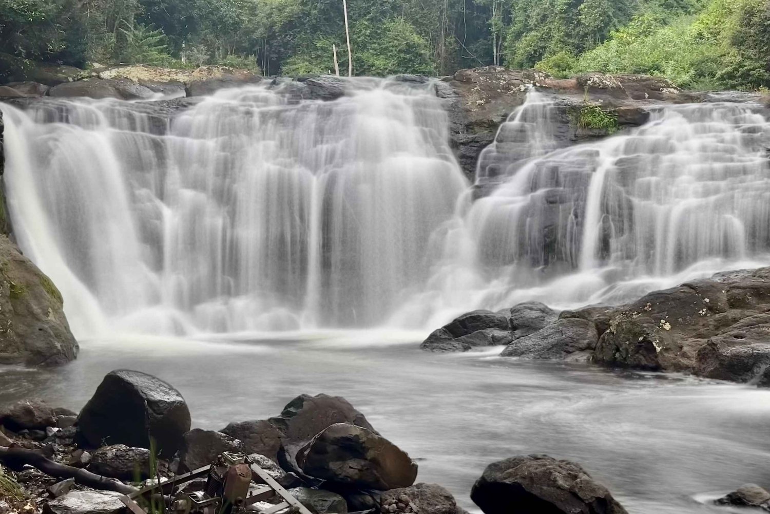 Byron Bay: Rainforest Waterfalls Guided Eco Tour