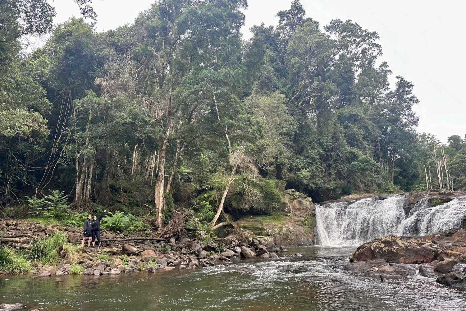 Byron Bay: Rainforest Waterfalls Guided Eco Tour