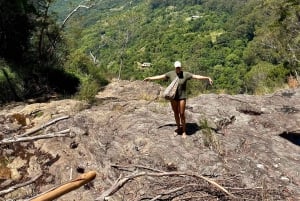 Byron Bay: Rainforest Waterfalls Guided Eco Tour