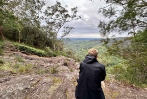 Byron Bay: Rainforest Waterfalls Guided Eco Tour