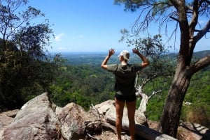 Byron Bay: Rainforest Waterfalls Guided Eco Tour