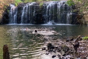 Byron Bay: Rainforest Waterfalls Guided Eco Tour