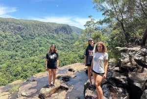 Byron Bay: Rainforest Waterfalls Guided Eco Tour