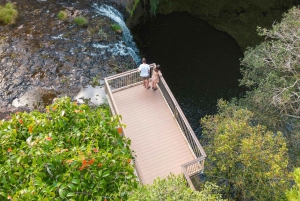 Byron Bay: Sanctuary and Waterfall Tour with Breakfast