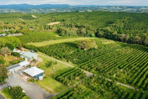 Byron Bay: Sanctuary and Waterfall Tour with Breakfast