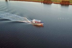 Byron Bay: Crucero panorámico por el río al atardecer